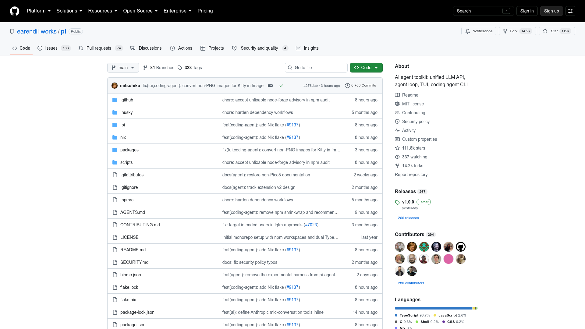 Pi project page on github.com, captured for this report